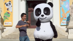PANDA FLASH – NOVIDADES 2019
