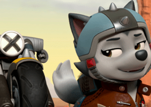 PAWpatrol_310x220_1