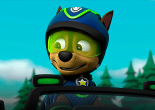 PAWpatrol_310x220_3
